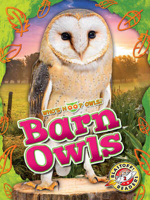 cover image of Barn Owls